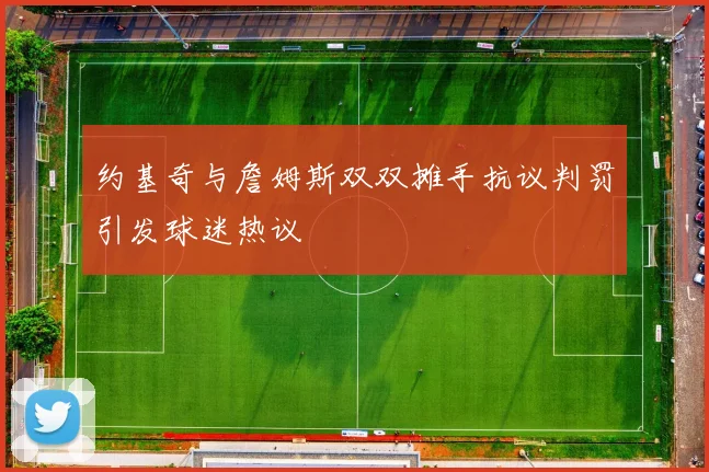 约基奇与詹姆斯双双摊手抗议判罚引发球迷热议