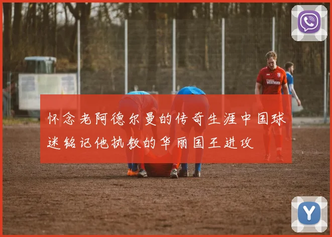 怀念老阿德尔曼的传奇生涯中国球迷铭记他执教的华丽国王进攻