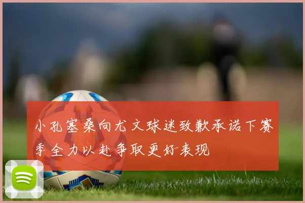 小孔塞桑向尤文球迷致歉承诺下赛季全力以赴争取更好表现